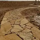 الجله