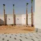 يوجد لدينا نخل زينه وعربي علا جميع المقاسات وسعار مناسبه