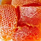 العسل صدررقم وحد