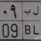 لوحة خصوصي ب ل د 2009