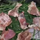 مرخ طازج للبيع