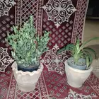 زير ماء