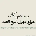 يوجد قروب غنم باشتراك شهري الي يبغ ادخله  يراسلني