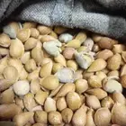 لوز الديرة   لوز بلدي للبيع