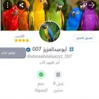 توليف ترويض وفندقه للطيور وعياده
