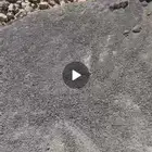 متوفر جميع مقاسات البحص باقل الاسعار واعلي جوده