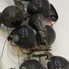 بواري روسي