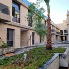 توريد جميع انواع النخيل العربي والوشنطني