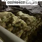 بطاط