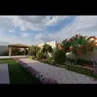 مصطفى بيع جميع انواع النخل والشجر والعشب الورود