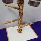 إستاند طيور
