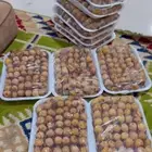 بلح للبيع