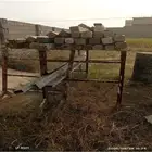 سقالة جبس