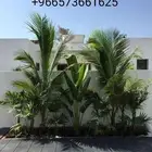 مهندس زراعي جميع انواع الزراعيه