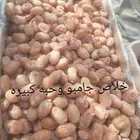 خلاص فاخر