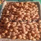 خلاص فاخر جامبو صرام اليوم