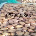 خلاص فاخر حبه جامبو