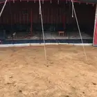 خيمة