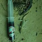 قاتل الوزغ وقاتل الصراصير
