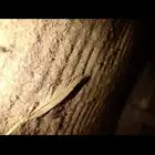 لاصحاب الاكسبدشن غسيل ثلاجه المكيف بدون فك