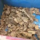 كلمتان طبيعي