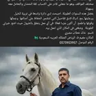 سايس خيل
