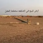 البكيريه