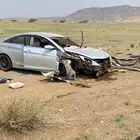 سوناتا 2011