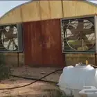 يوجد 6 بيوت محمية مكيفة للبيع-القصيم