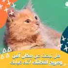 استضافة حيوانات اليفة