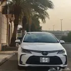 كوريلا هايبرد 2023