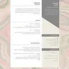 سيرة ذاتية احترافية cv