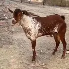 اذكروا الله على النبي