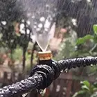ضباب والرذاذ