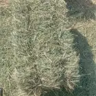 بلوبنك ناعم صافي