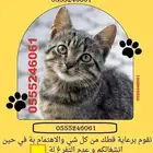 فندقة قطط وطيور 6061 24 0555 شاهد التقييمات