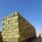 احراج البرسيم والاعلاف والروتس والتبن والذره