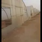 بيوت محمية نحن نقوم با إصلاحها و تجهيزها