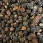 بذور الملوكي