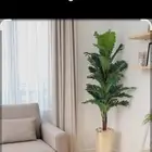 فني عمل اصيص وزراعه صناعي خبره مطلوب شريك لعمل معرض في جده ا