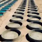 حزان الدري مسبح بياره
