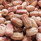 تمر قسبه بديره لبانه