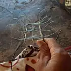 شبك حمام لصيد صقور