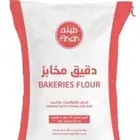 طحين 45كيلو واصل للجنوب أفضل سعر