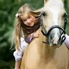 ايواء خيل تاجير غرف للخيل بأفضل الأسعار 750 ريال
