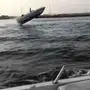تآجير قوآرب ودبآبات بحربةة ...