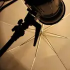 تصوير عروس الرياض