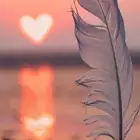 تدليك الدمام المدينة