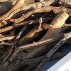 ددسن لبيع شرط