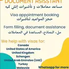 Visa Service